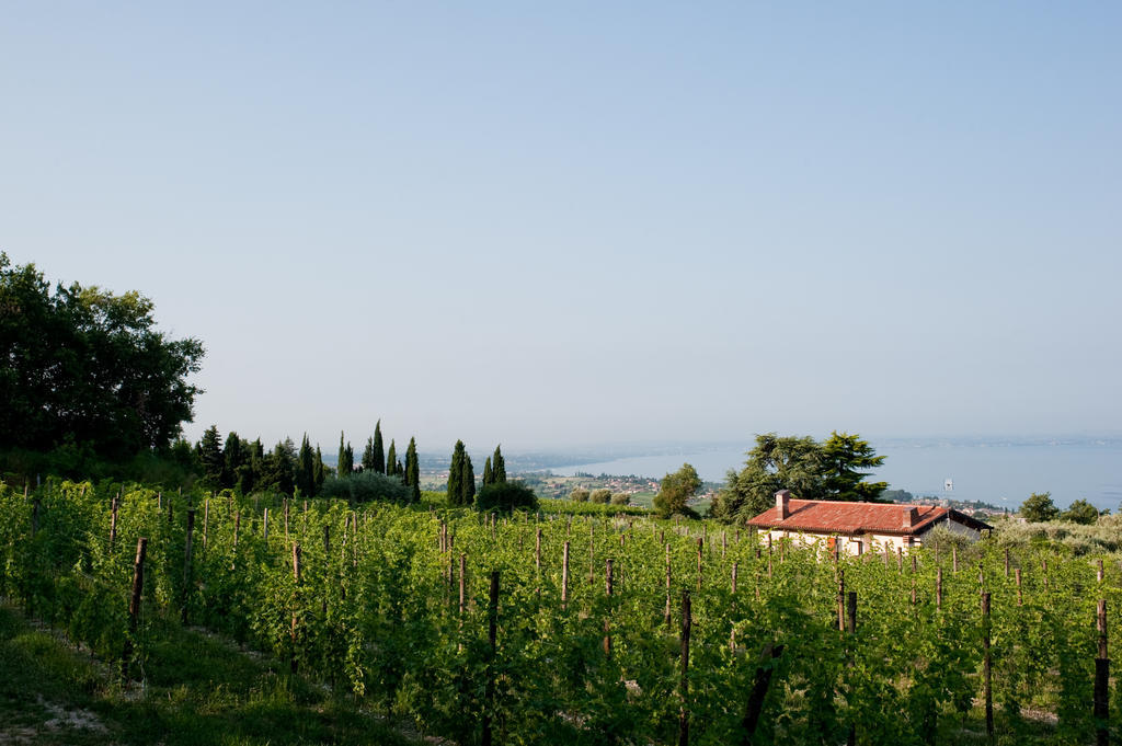Quercia Belvedere Relais Бардоліно Екстер'єр фото