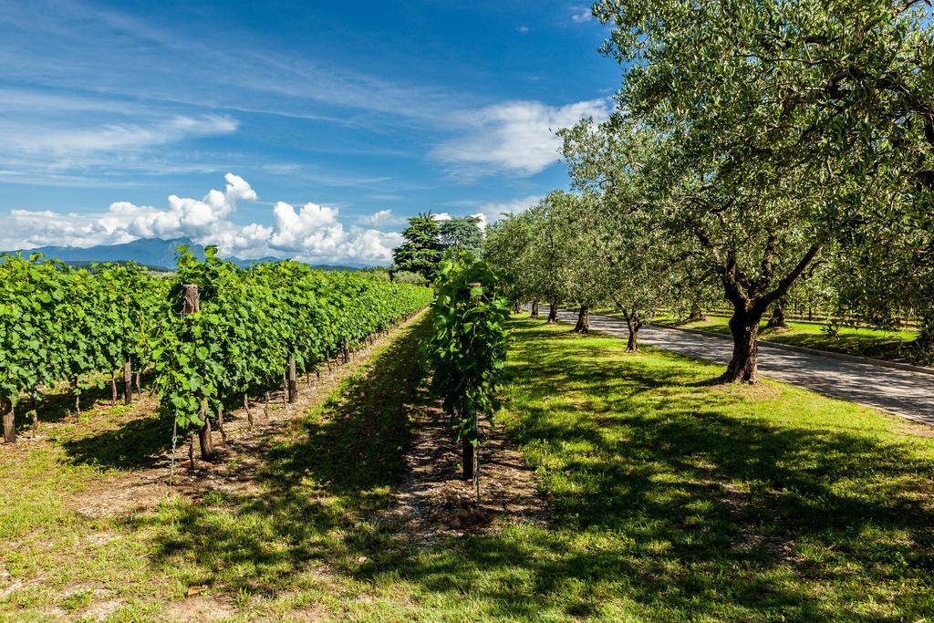 Quercia Belvedere Relais Бардоліно Екстер'єр фото