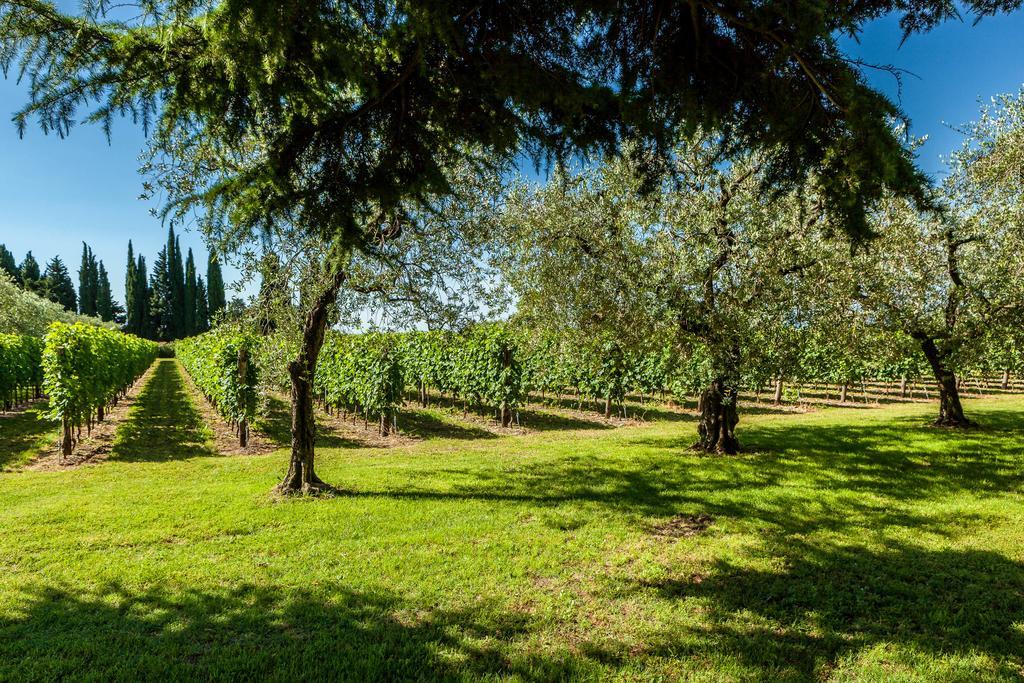 Quercia Belvedere Relais Бардоліно Екстер'єр фото